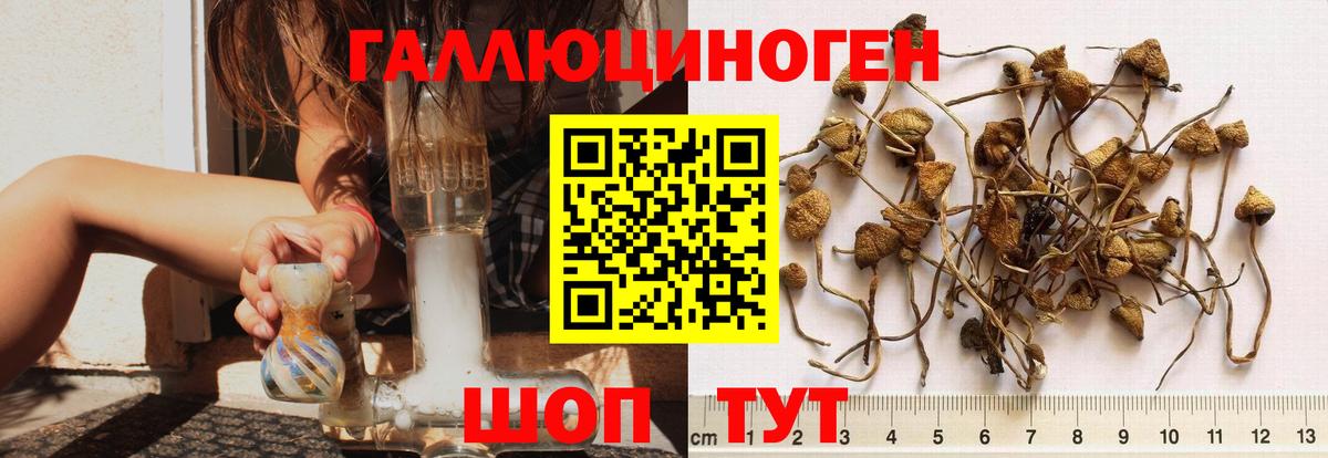 Галлюциногенные грибы GOLDEN TEACHER  Вход с VPN  Сызрань 